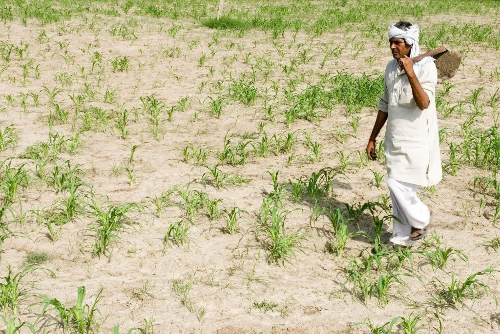 बिहार में सूखा