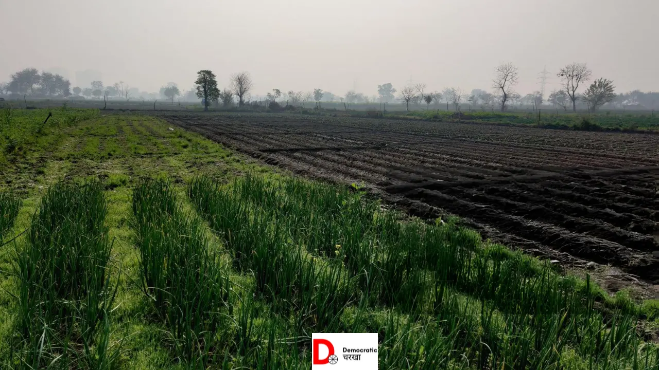 पानी की कमी से सूखती फ़सल