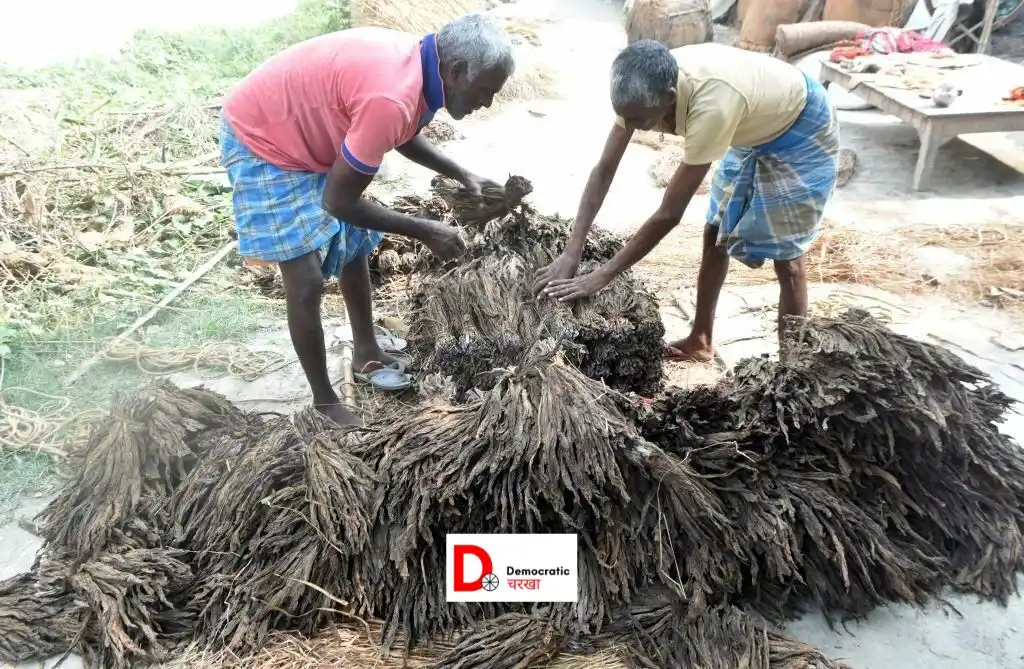 किसानों को मेहनत के बाद भी MSP का लाभ नहीं मिलता