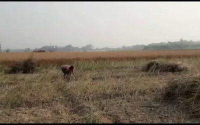 0qdwGlJgcToivrlIxTXm