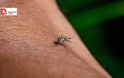 2NUKC1wxDHfWxdJynIQy