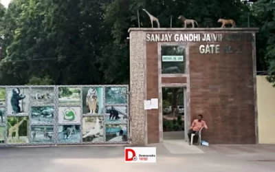 2eh9H8ypRP7KH6ENlKEw