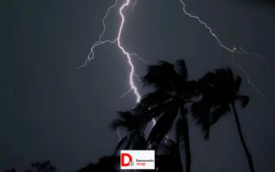 2ftMEDLM8EQOOM7COpbX