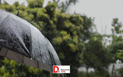 2tQohB962QXs1l5lMXbe