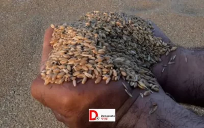 3CwvvweASqz7yYgxkTs6