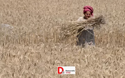 53O3sZZ0Tww0c9TUMt5o