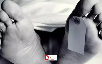 5rbVTy8XuVBIjhXs1ZLq