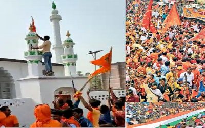 689Ok0Dq4d246By21vrR