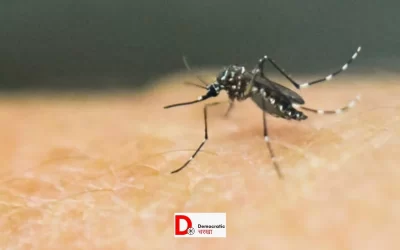 6SgzU2SzxoCDtXnhN9OB