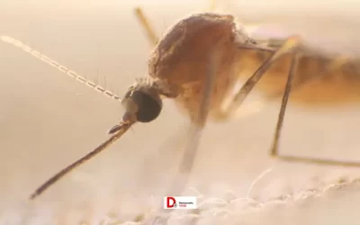 6rhBnvQxVWoUGyRzgFB0