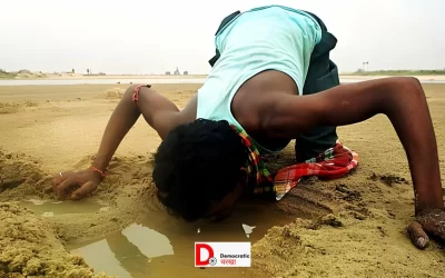 73Wa0x8nFSSvVdqzXM6H