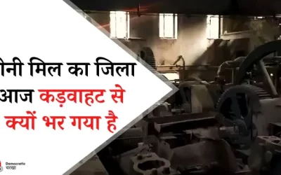 7RIkzWG0QViuDr6YblaB