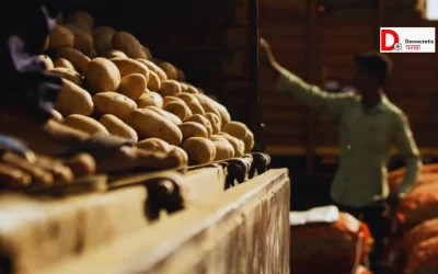 8MN6wogRGI5oc0ZENZ6e