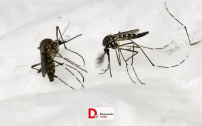 A7MUjo7cgH8JIFBCya5A