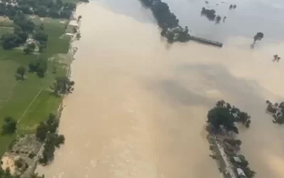 A8S5A1ruFfvswWRCMpBr