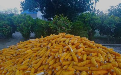 AD9fiJPgSNuVvxUzMFI6