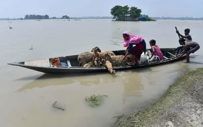 AjGZJpOD67IIcFkHRnpZ