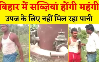 AkbgZdip07WVnk7glsRi