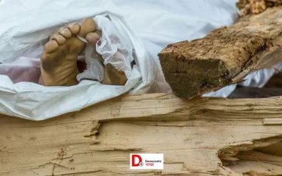 C5kL5ZcDztpDHJWIXtwY