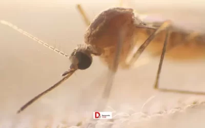 CkOwctKVgpqtGBRNpGuy