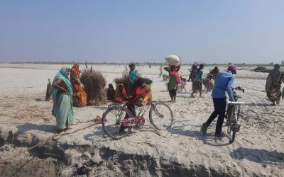 Cx6LrfZG7ounQ0vaZLL0