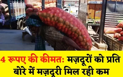 DQQuzNCmNev7j8p6hftv