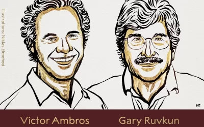 DqmP2Wr6gtZ7TCGpKqFv