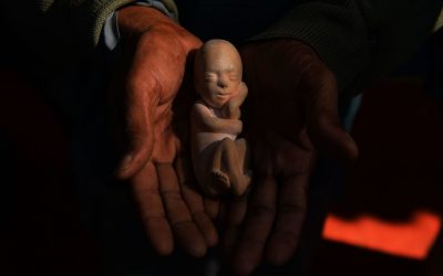 EI96Cja4rw9iVQX2ypO6