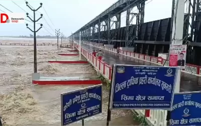 EO8V398vx3kcm31KOo3s