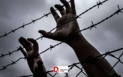 FfojKk2mw0vkWrmeSwSR