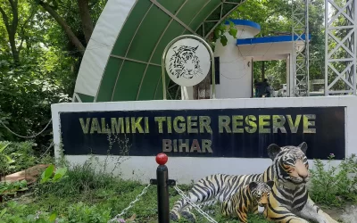 Ht8dt4iU0FtA1Vfif5nm