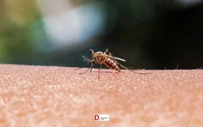 IO5yIL9Bc87tzVKETGcI