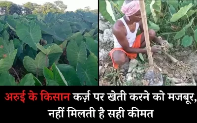 JWmow9mroXgx9a8uwXoU