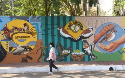 JoJGmJmCQ6DnlvZZBu8H