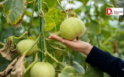 K3hrlqc8ipyqWNQLK48q