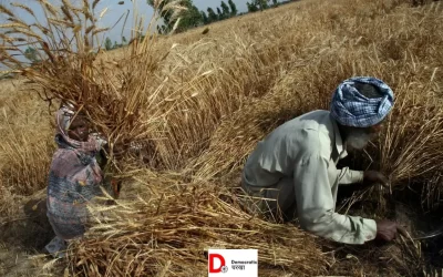 KuAupeBaFX0eWIgej3IW