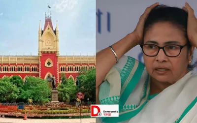 MGcX9yknTquCt9KljNik