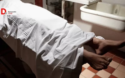 N37sNwSQNWqaqUboviO5