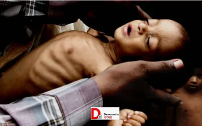 OZfxkj7XRPXXOzE1YO7T