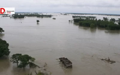 OcWJm8GmeHkpPpUKp7DB