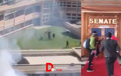 Op16yzsq2Zd1xIXkcO3c