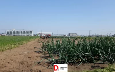 PCz2ep8u0I27EORfAREc