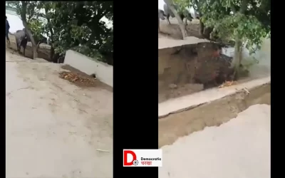 PXvRpaAft7hs1E1Sippb