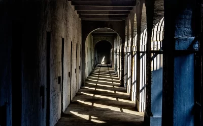 QN9BsGUiHFghD3v26LAN