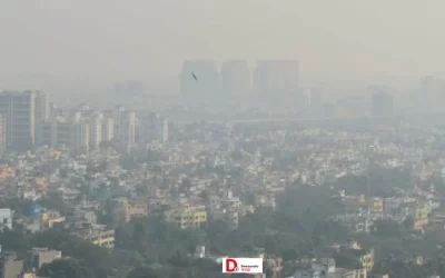 RfyoV45eBfpp94wloaNF