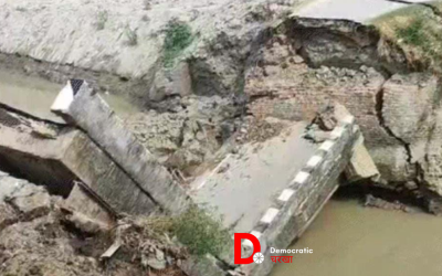 SYBcLdvuzjXm1UZrp65c