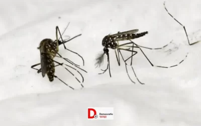 SZQiSL8XqXQadUjAInTc