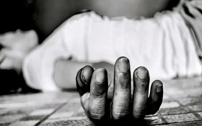 SoldOmfZo2MBF9pnLBL1