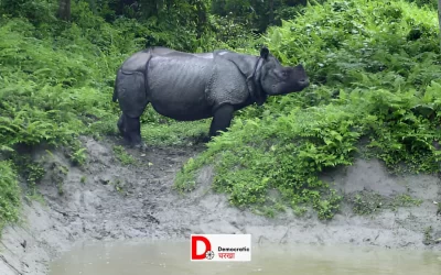 TOcSCHa2zxlaT4R6az8T