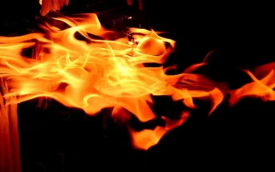 Tq7IRvkqgizzbbCKEq08